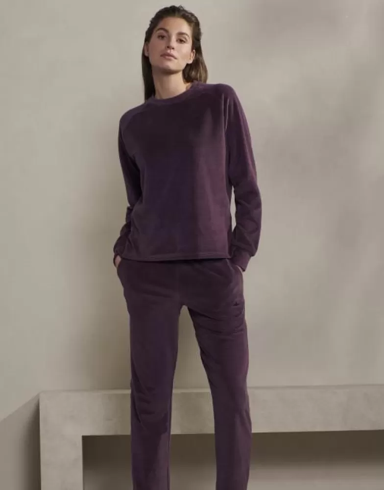 ESSENZA Shirts En Tops- Hella Uni Plum Wine Top Lange Mouw L Paars